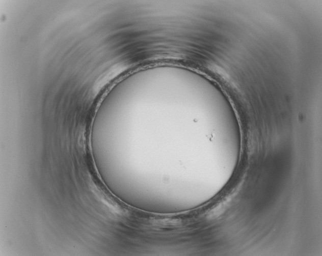 X0000087391113200705042003