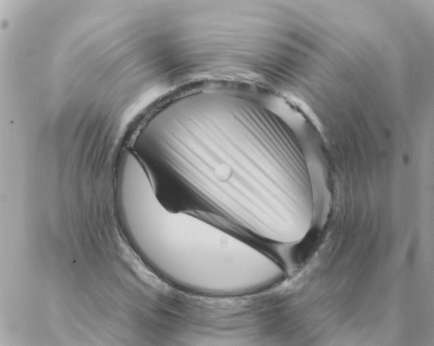 X0000087391114200705042003