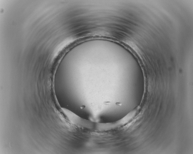 X0000087391115200705042003