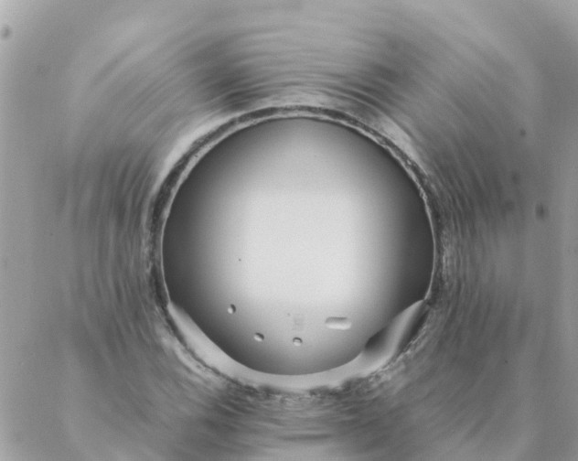 X0000087391116200705042003