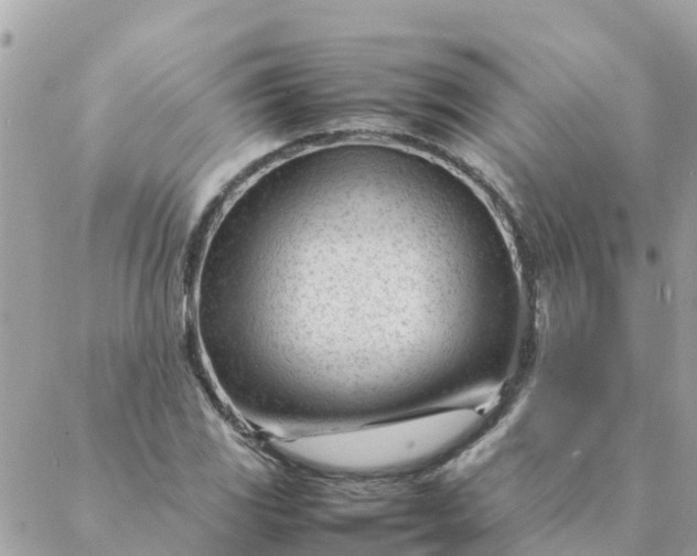 X0000087391117200705042003