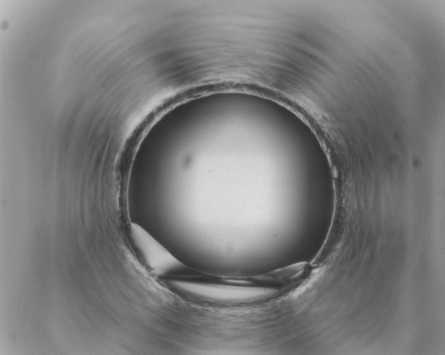 X0000087391118200705042003