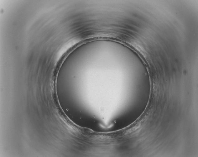 X0000087391119200705042003