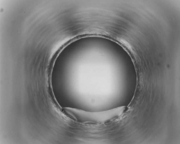 X0000087391120200705042003