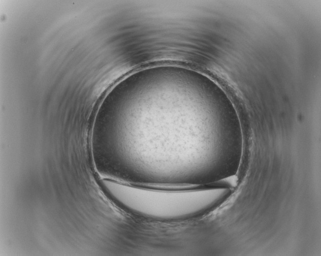 X0000087391121200705042003