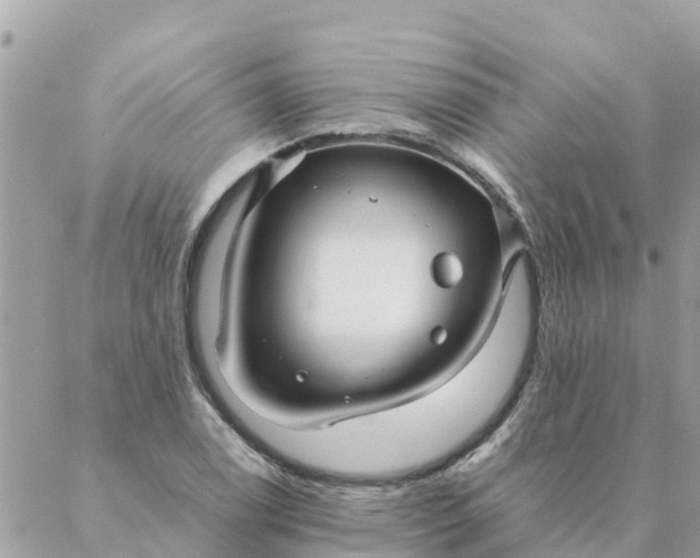 X0000087391122200705042003