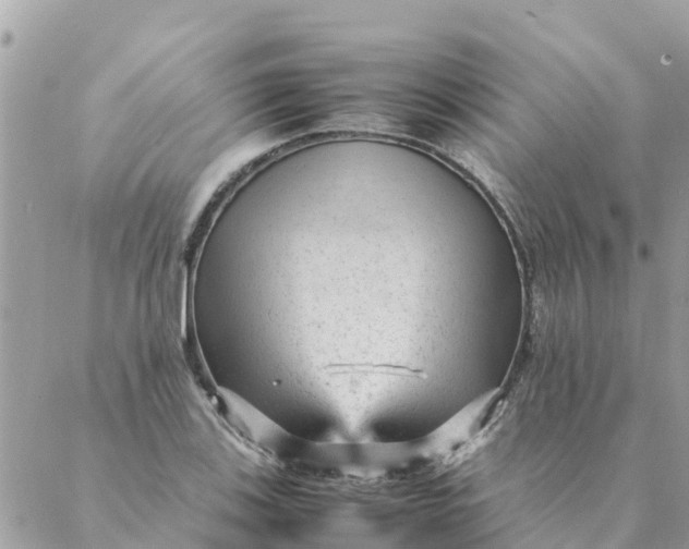 X0000087391123200705042003