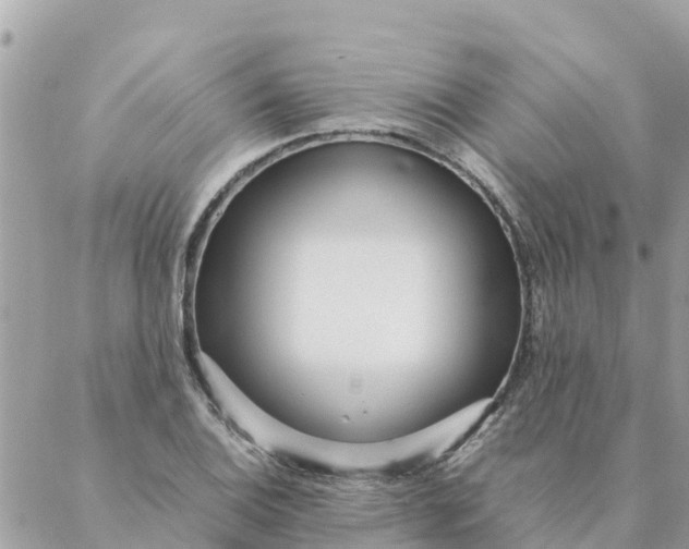 X0000087391124200705042003