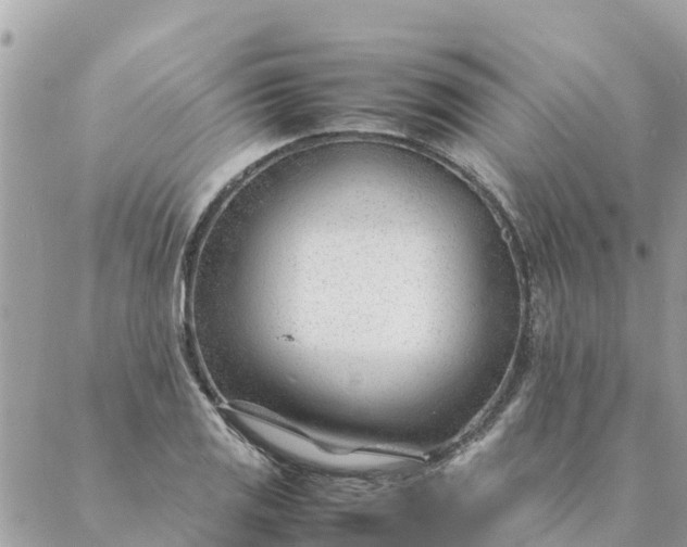 X0000087391125200705042003