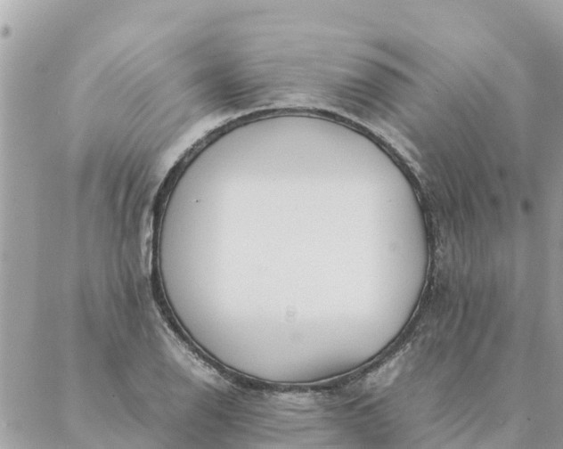 X0000087391126200705042003