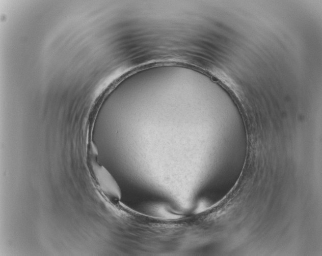 X0000087391127200705042004