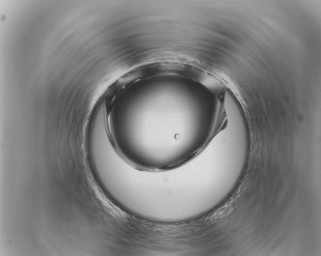 X0000087391128200705042004