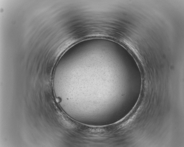 X0000087391129200705042004