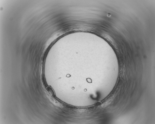 X0000087391130200705042004