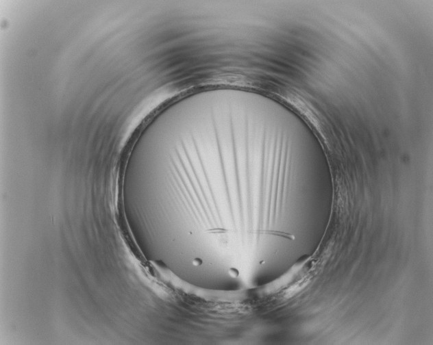 X0000087391131200705042004