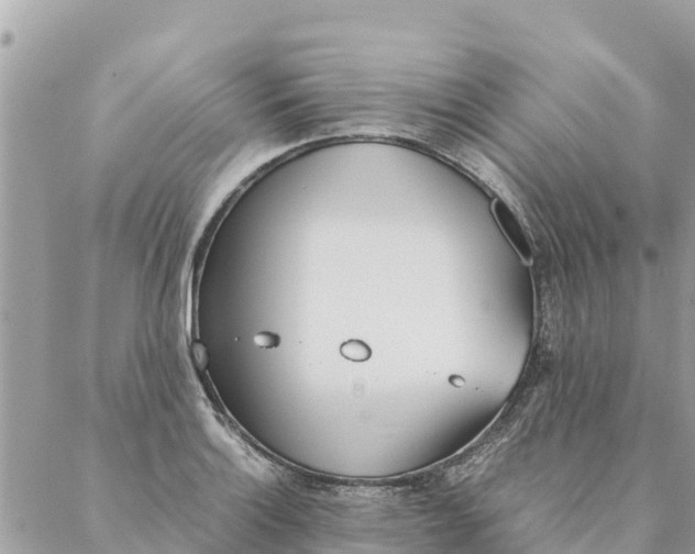 X0000087391132200705042004