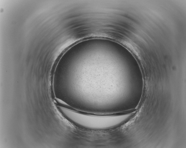 X0000087391133200705042004