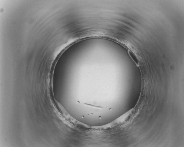 X0000087391134200705042004