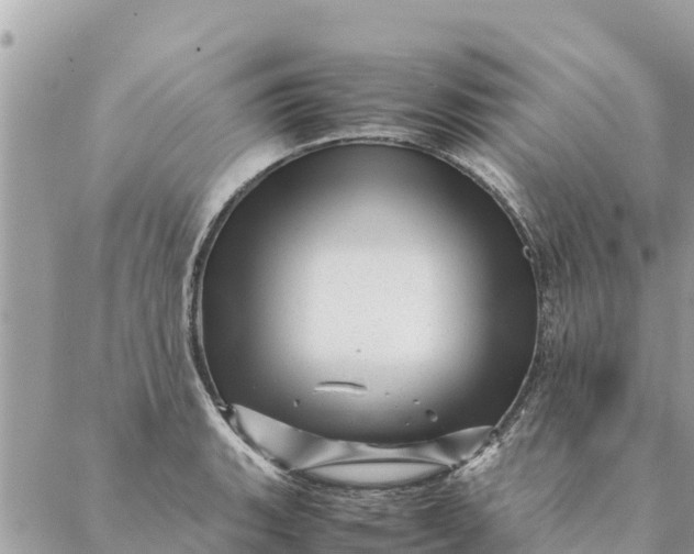 X0000087391135200705042004