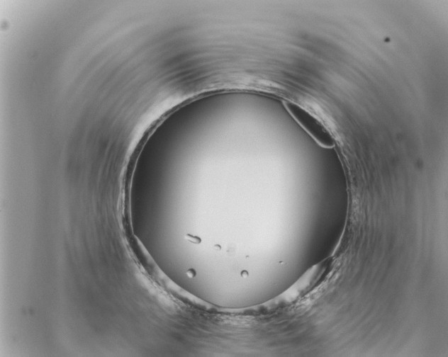 X0000087391136200705042004