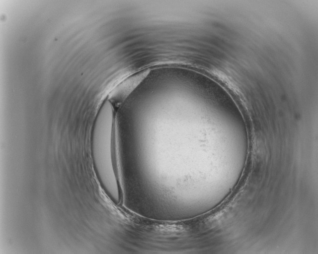 X0000087391137200705042004