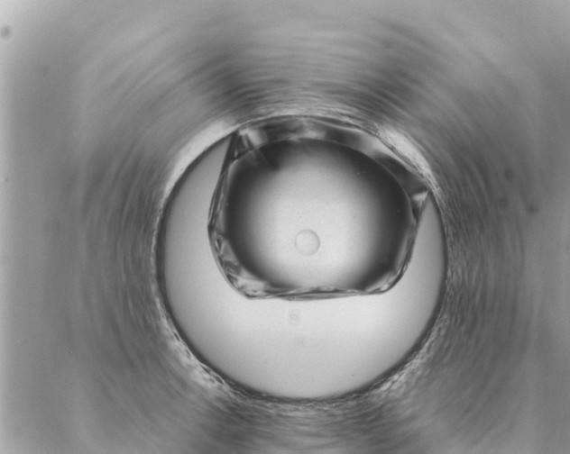 X0000087391138200705042004