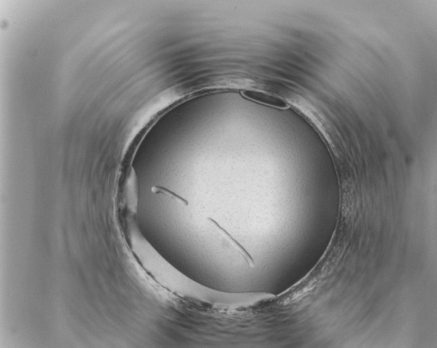 X0000087391139200705042004