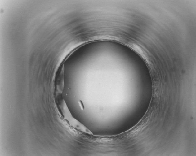 X0000087391140200705042004