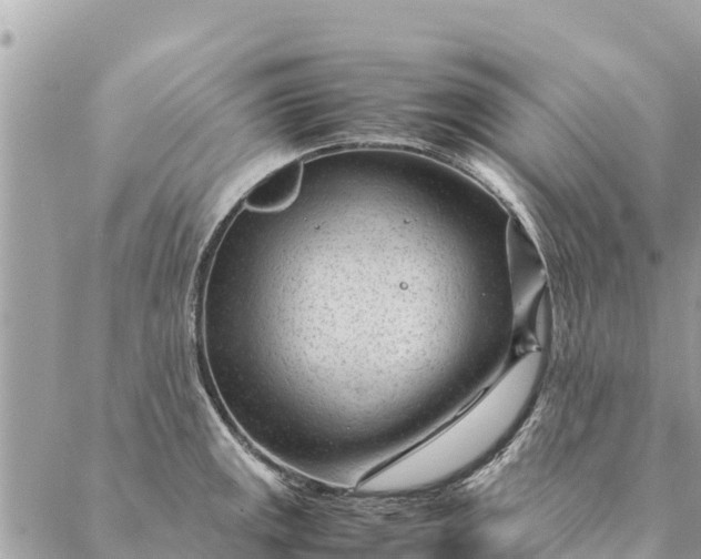 X0000087391141200705042004