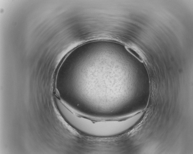 X0000087391142200705042004