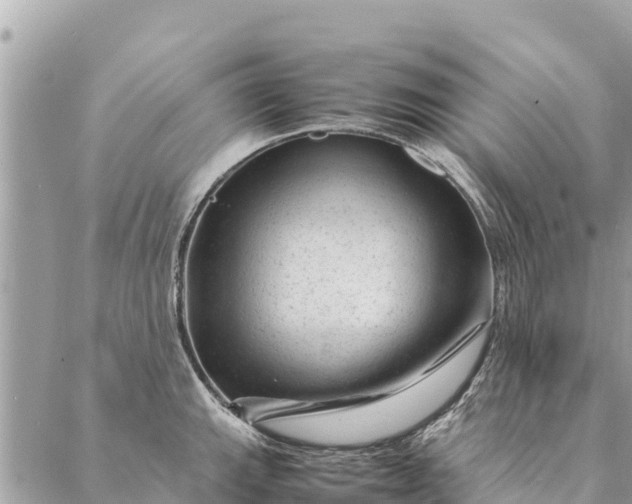 X0000087391143200705042004