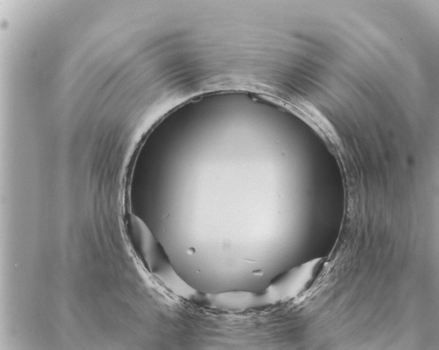 X0000087391144200705042004