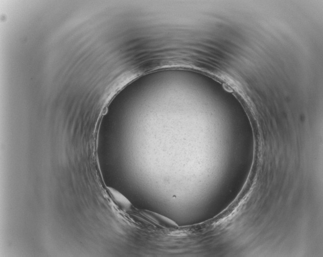 X0000087391145200705042004