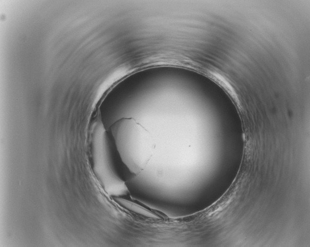 X0000087391146200705042004