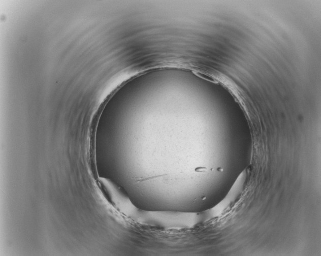 X0000087391147200705042004