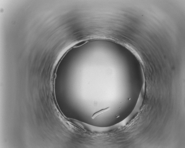 X0000087391148200705042004