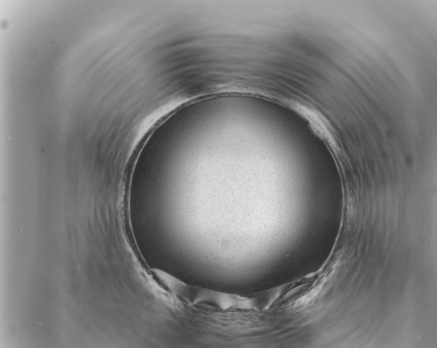 X0000087391149200705042004