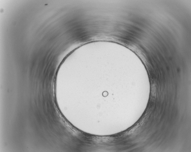 X0000087391150200705042004