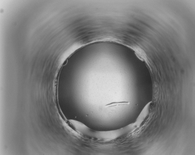 X0000087391151200705042004