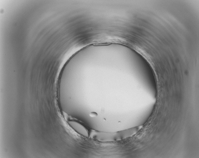 X0000087391152200705042004