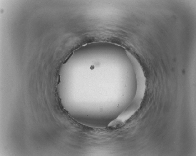 X0000087391153200705042003