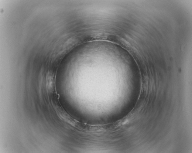 X0000087391154200705042003