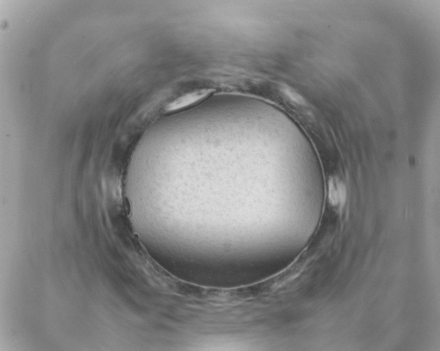 X0000087391155200705042003