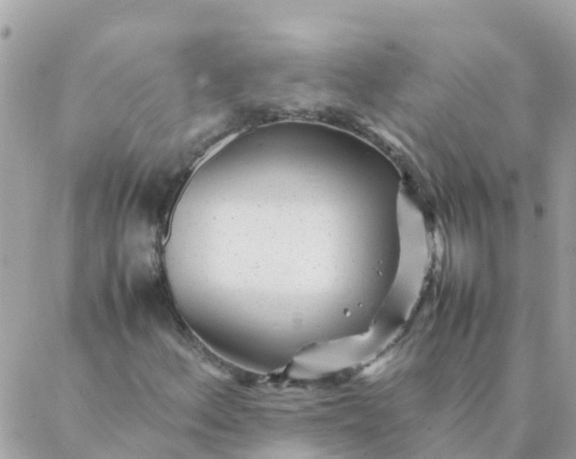 X0000087391156200705042003