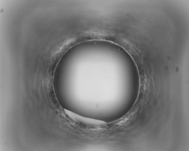 X0000087391157200705042003