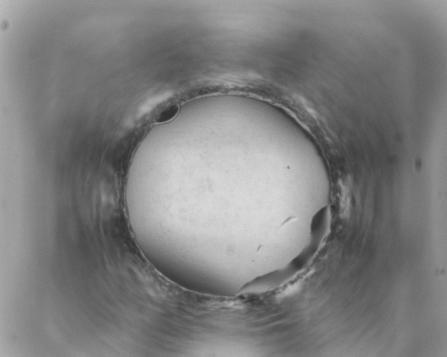 X0000087391158200705042003