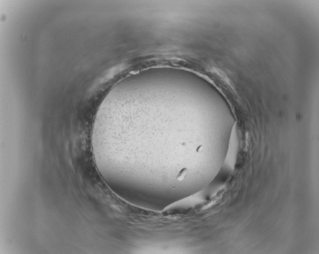 X0000087391159200705042003