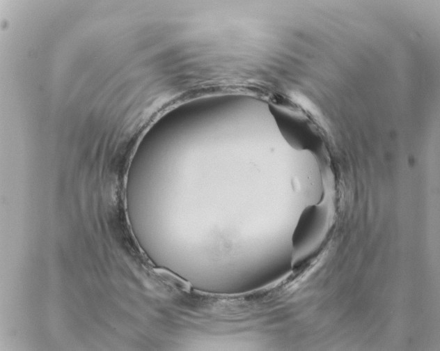 X0000087391161200705042003