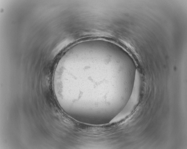 X0000087391163200705042003