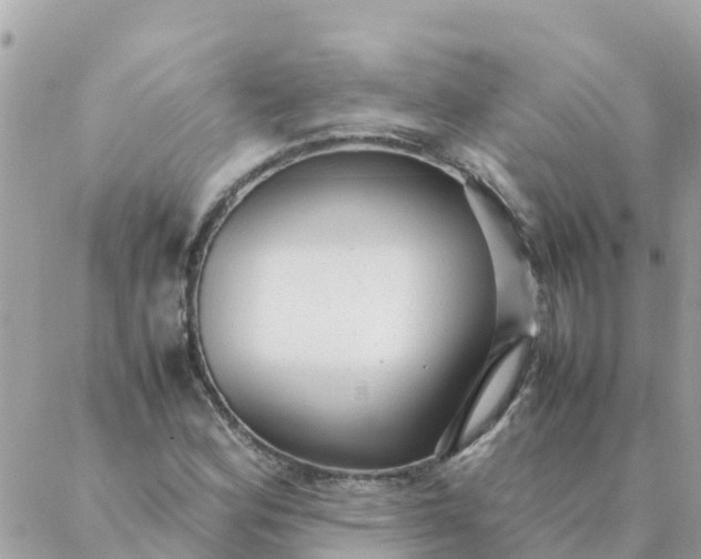 X0000087391164200705042003